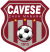 logo VISCONTEA PAVESE